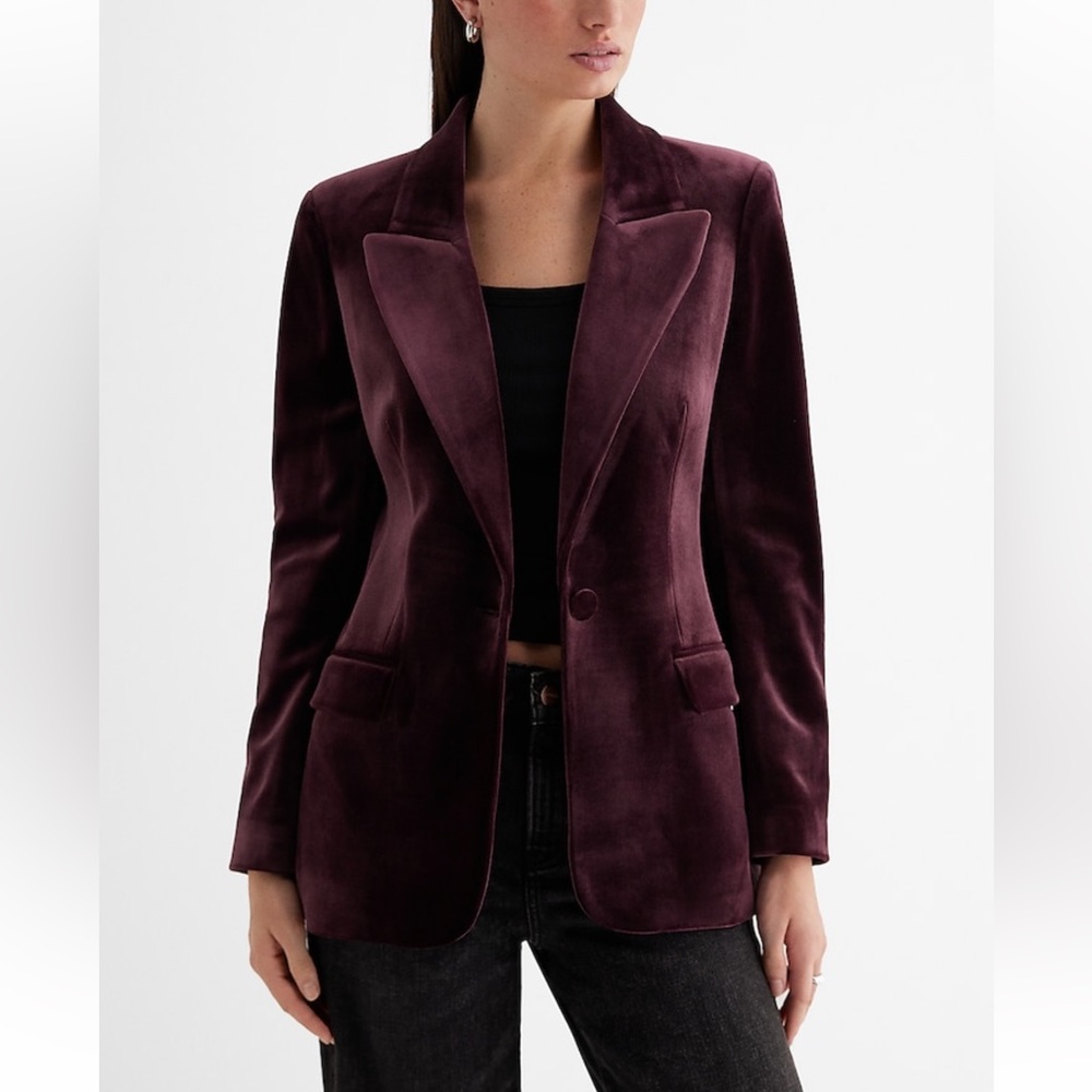 Velvet Blazer - Picture 3 of 10